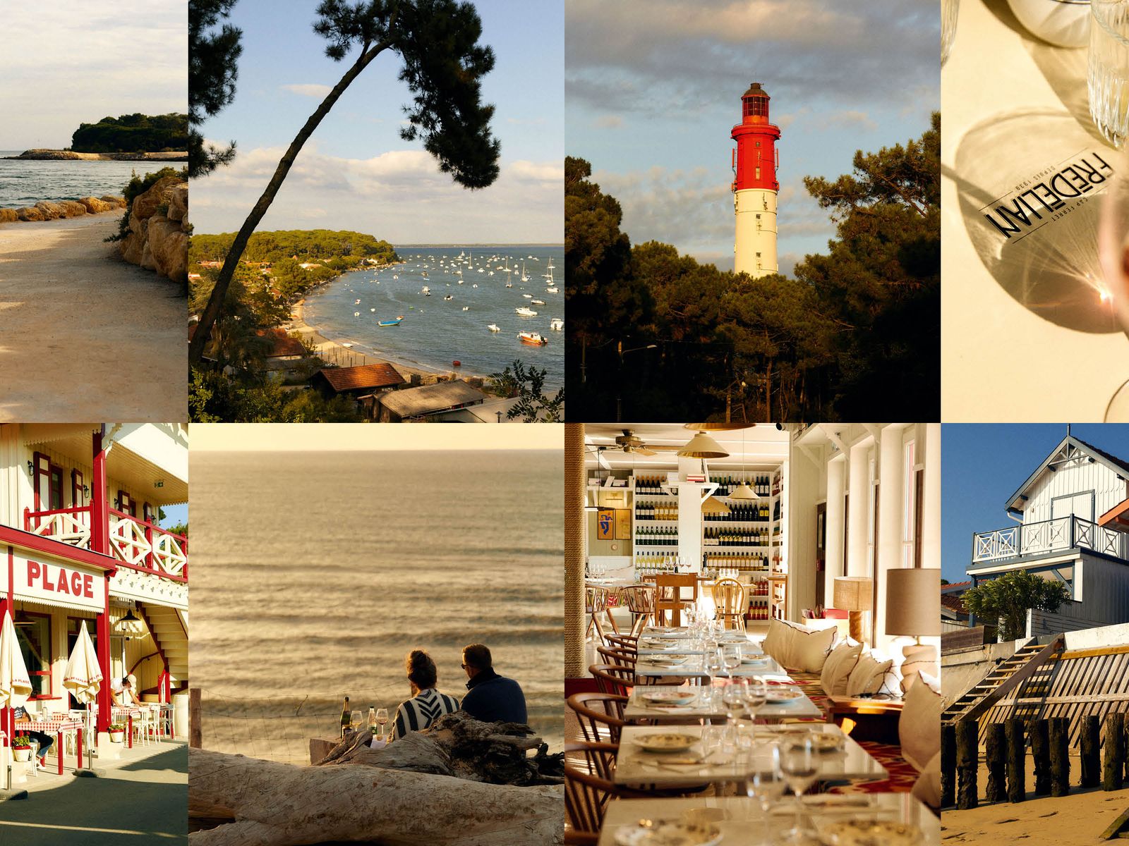 Coastal sand dunes and greenery overlooking the ocean at Cap Ferret.