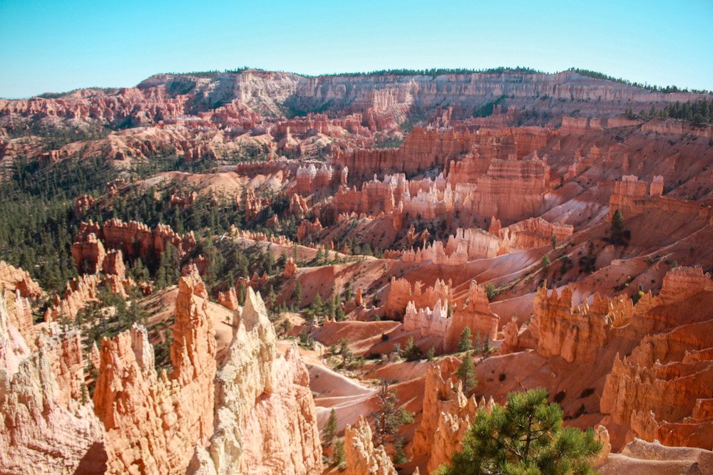 A wide shot showing the transition from green pine forests to the sharp red hoodoos of the canyon.