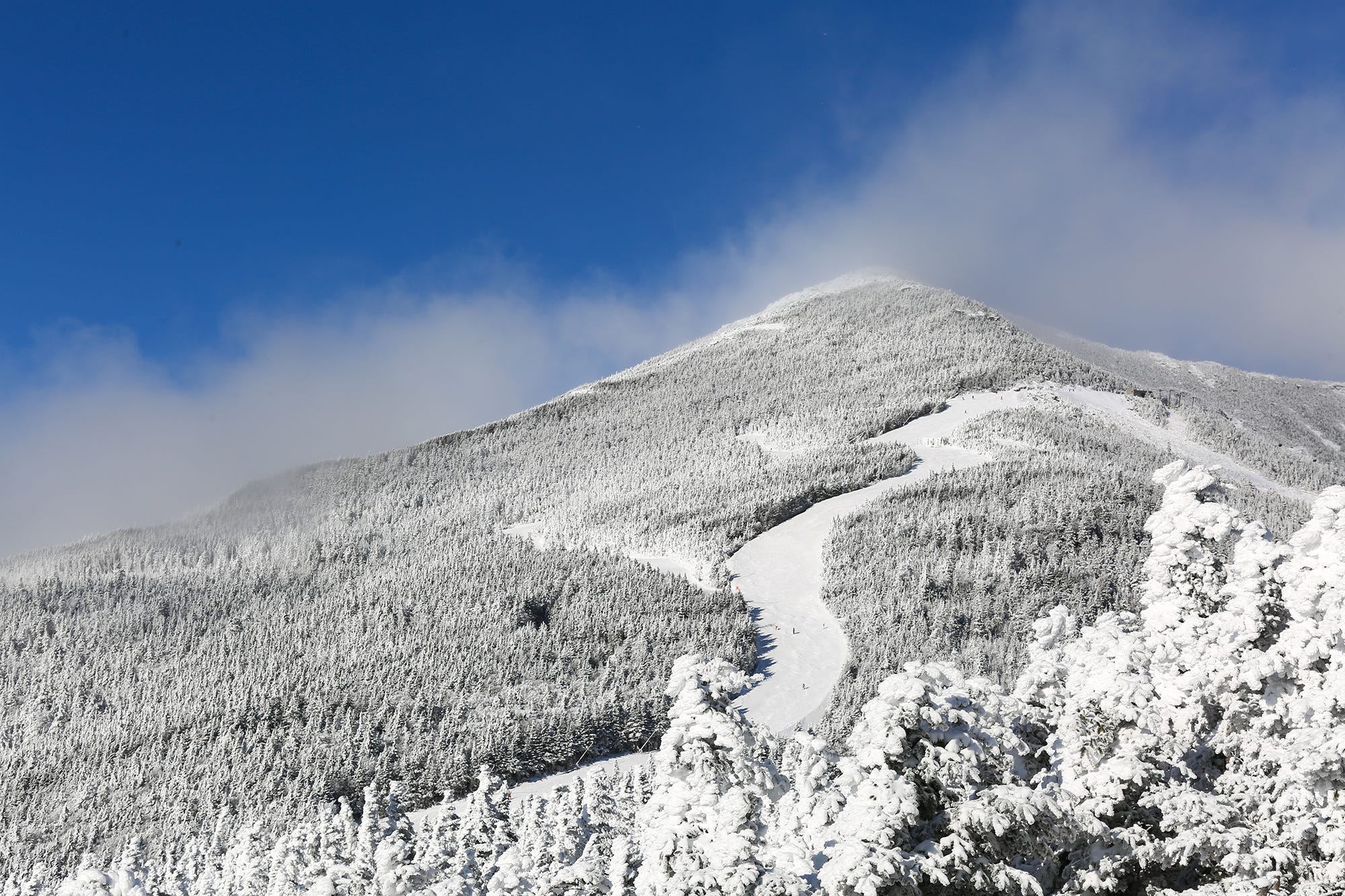 A lone skier carving through fresh snow on a steep trail at Whiteface Mountain.