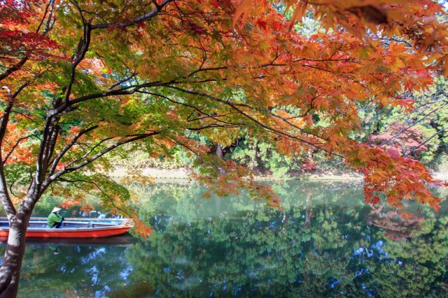 Bright red and orange maple leaves framing a traditional Japanese structure in a park.