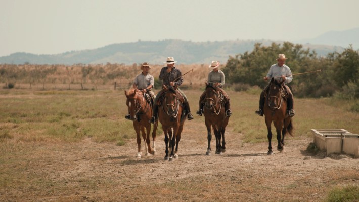 Traditional Tuscan horsemen riding through an open field.