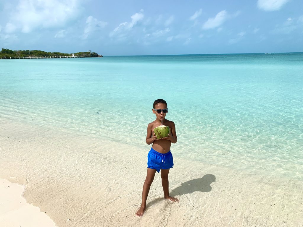 A close-up of a fresh coconut with a straw on a sandy beach.