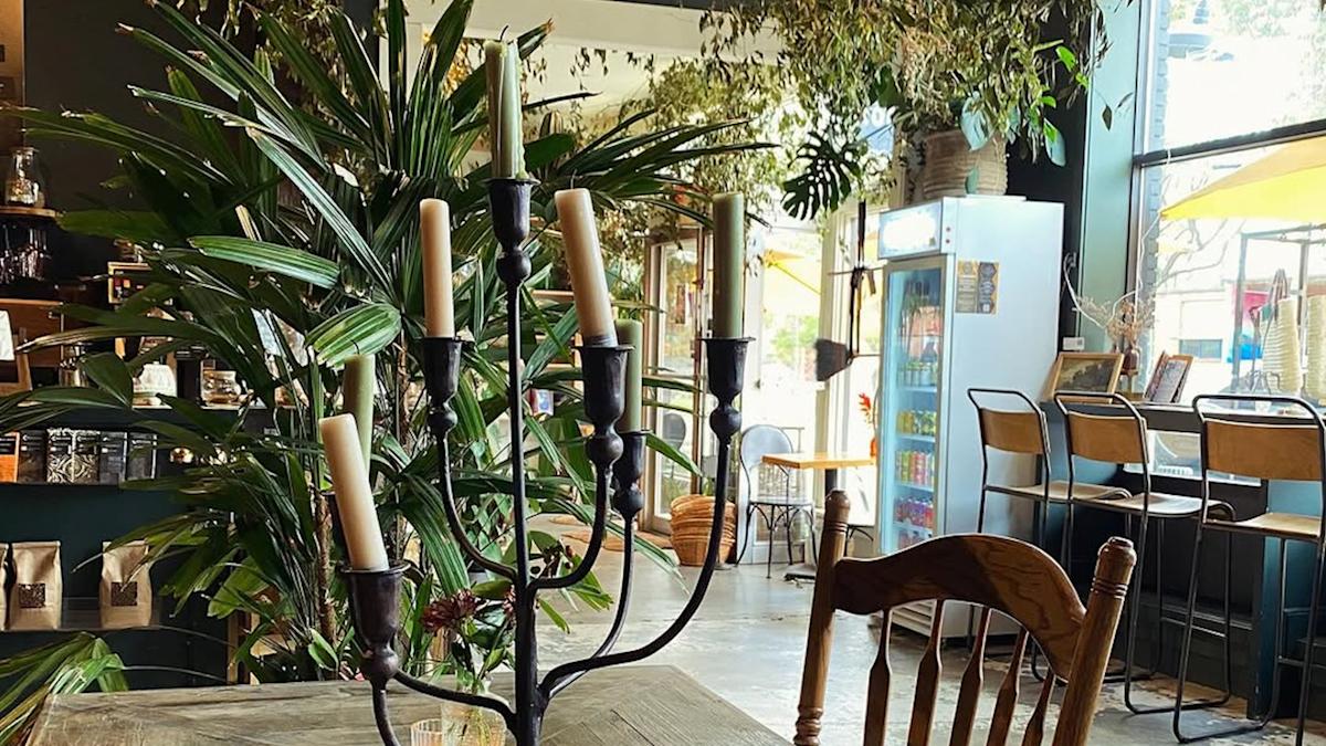 Asheville Solo Travel: Discover Why Flora is the City's Ultimate Quiet Retreat