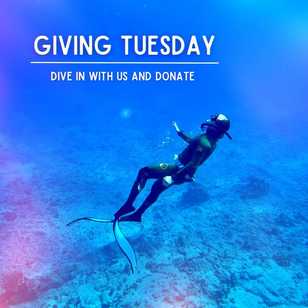 A group session or individual being supported in a therapeutic freediving context.
