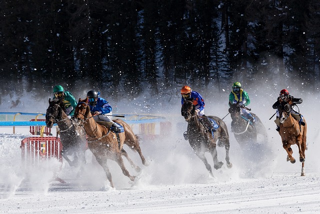 Horses racing on the frozen Lake St. Moritz during the annual White Turf event.