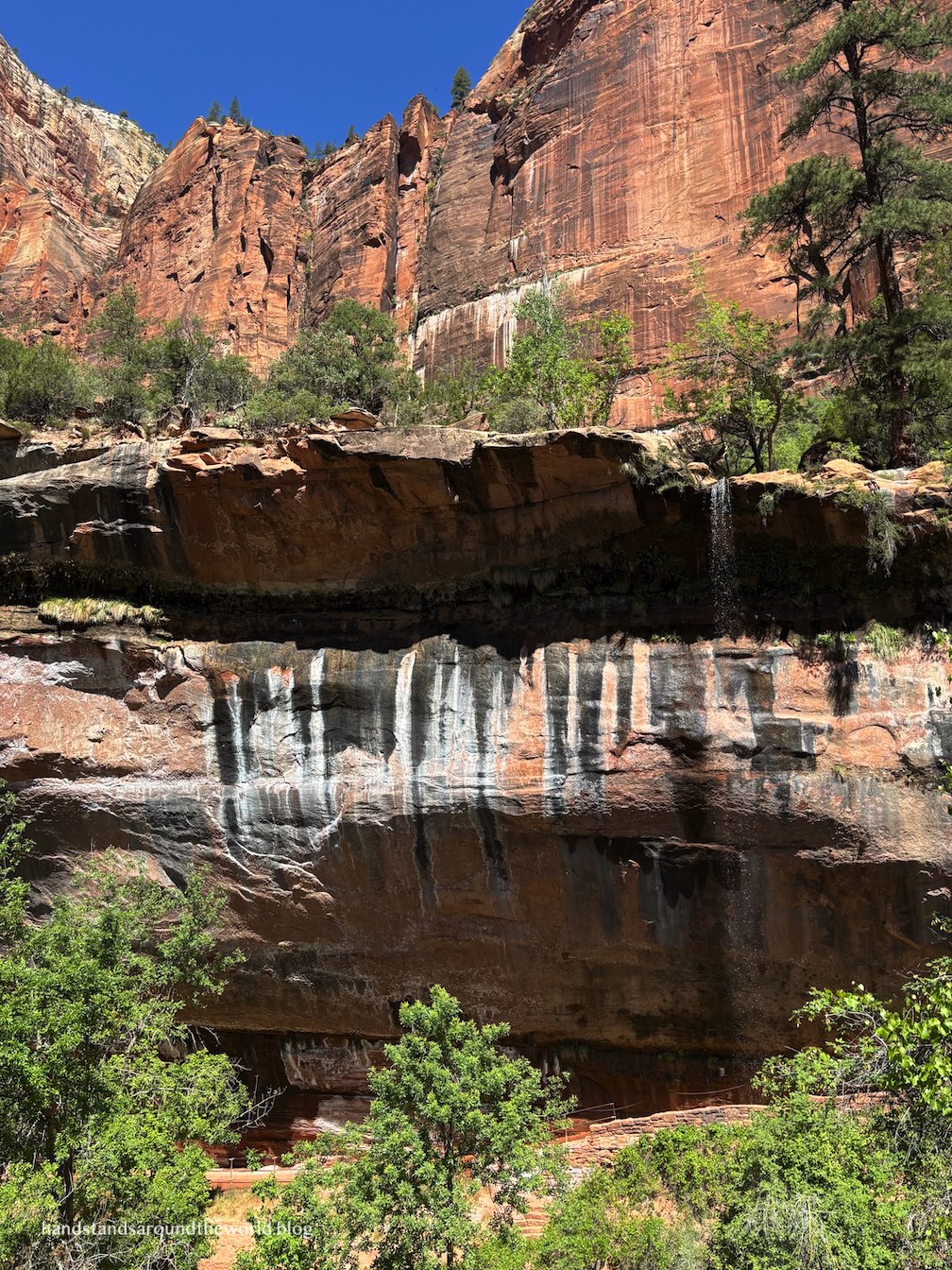Water dripping from a high sandstone alcove into the Emerald Pools area.