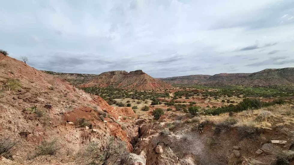 Palo Duro Canyon covered in a rare layer of white snow during the winter season.