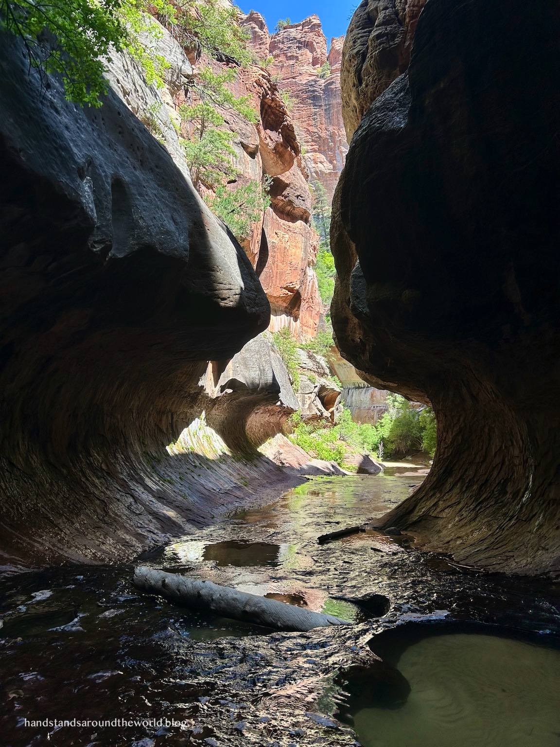 The iconic tunnel-shaped rock formation and pools inside The Subway slot canyon.