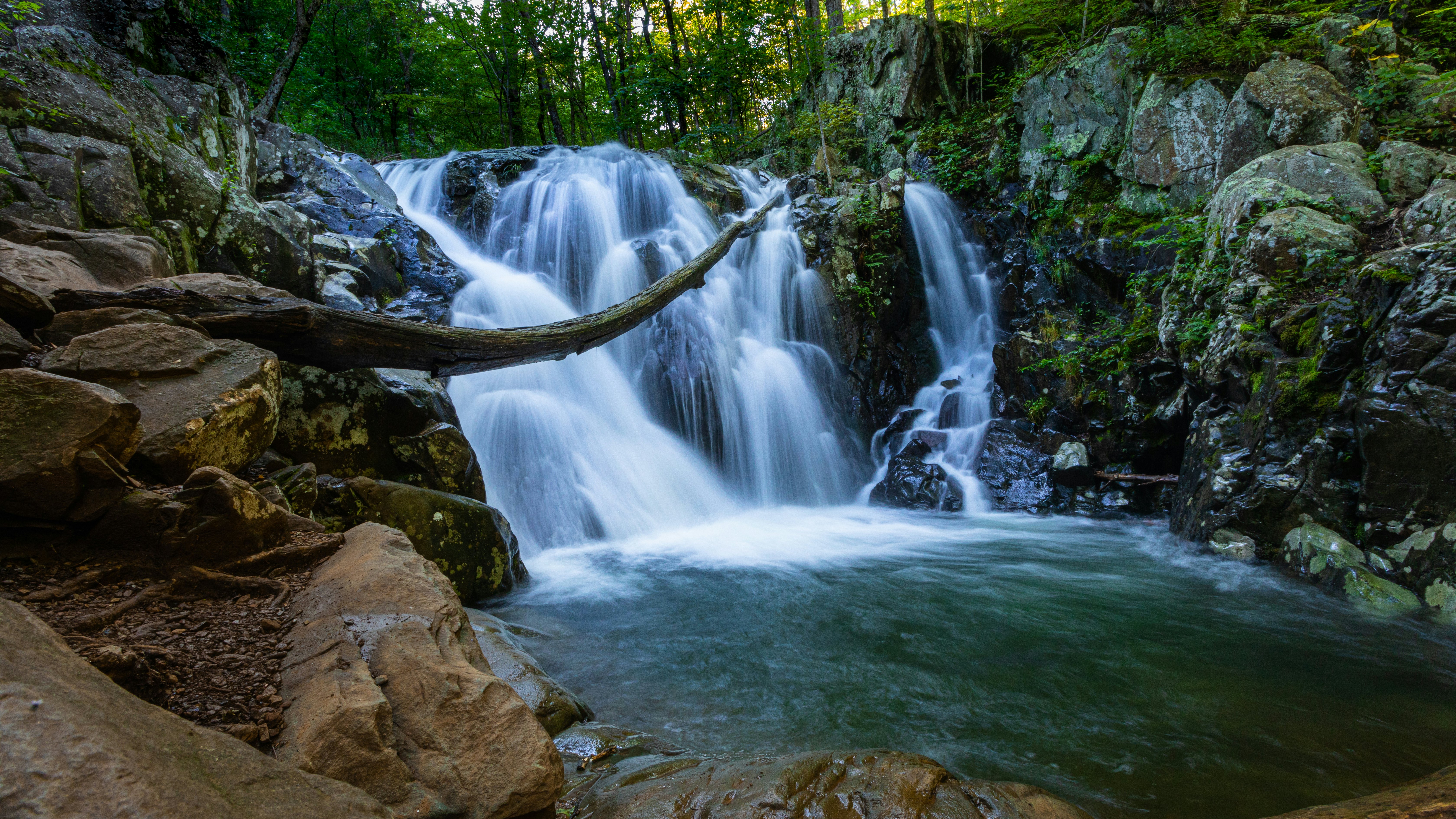A serene forest scene featuring several small waterfalls cascading into a clear pool.