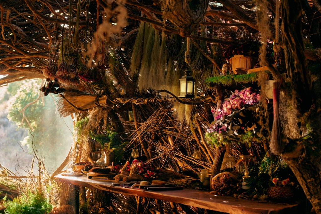 Portrait of Cynthia Erivo at Elphaba's Retreat in Thousand Oaks.