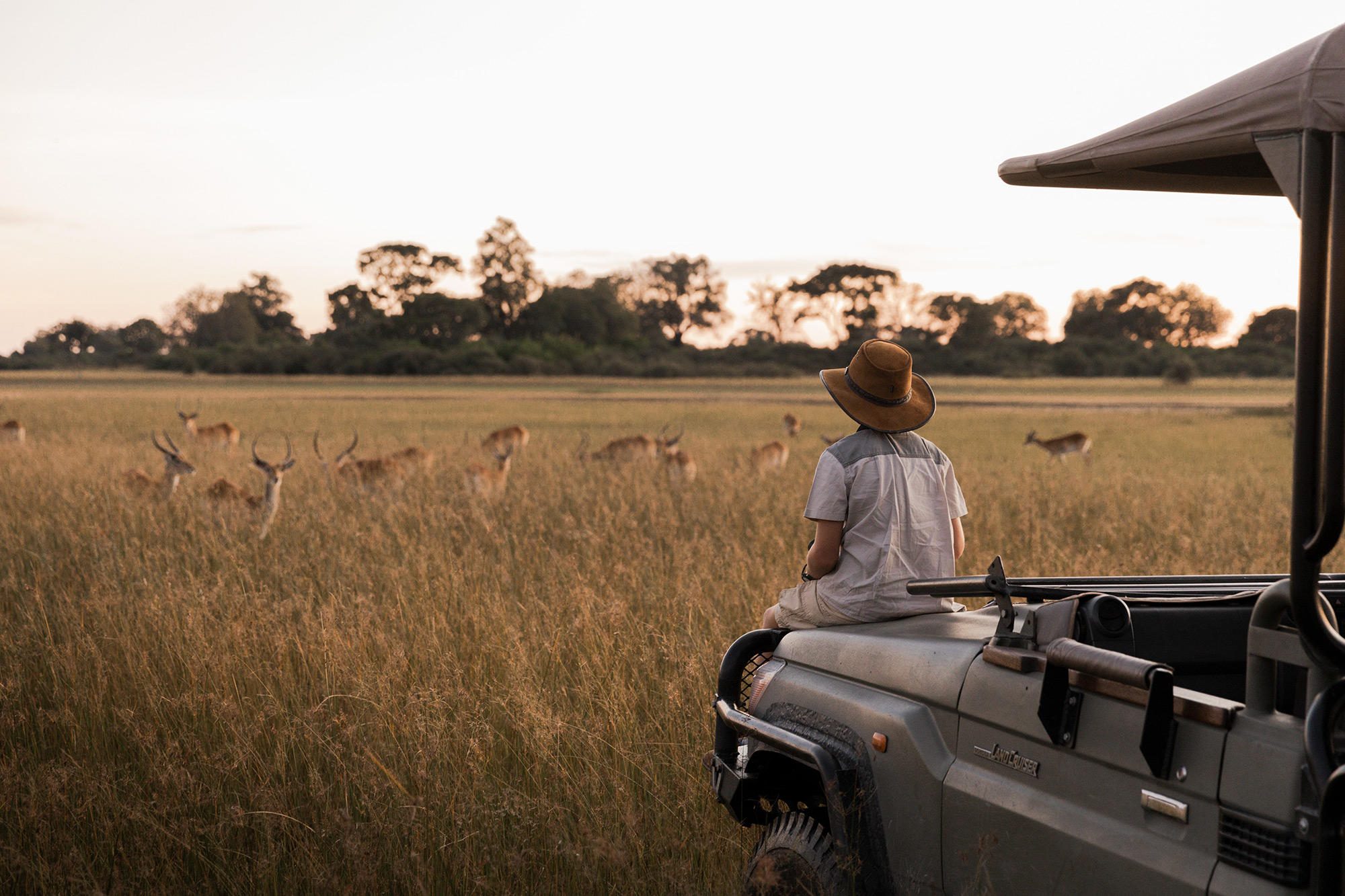 Two young children looking through binoculars during a safari experience.