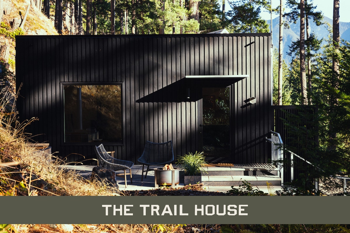 A modern black cedar cabin with large glass windows surrounded by tall evergreen trees.