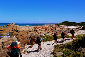 Turquoise water and orange-lichen-covered rocks along the Bay of Fires coastline.