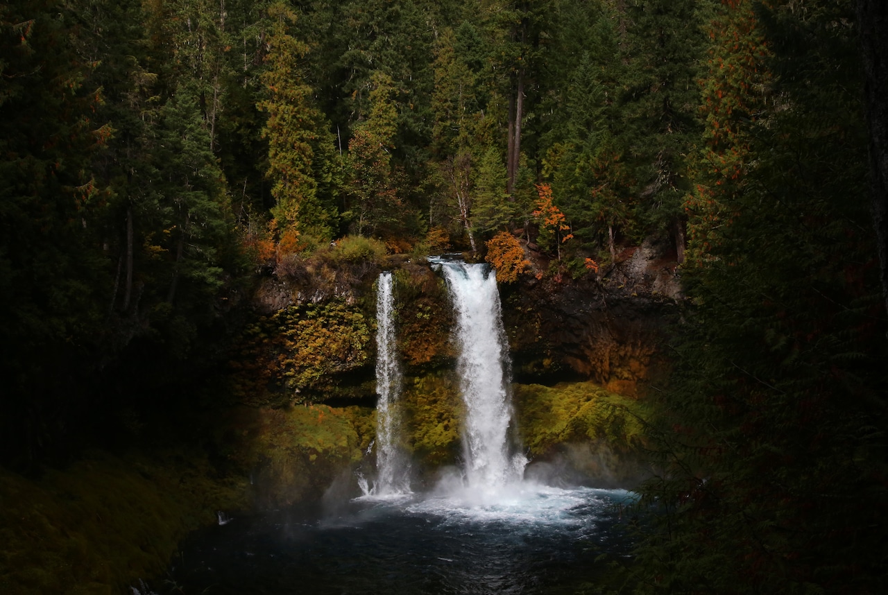 A scenic waterfall cascading into a pool surrounded by lush green forest and a hiking path.