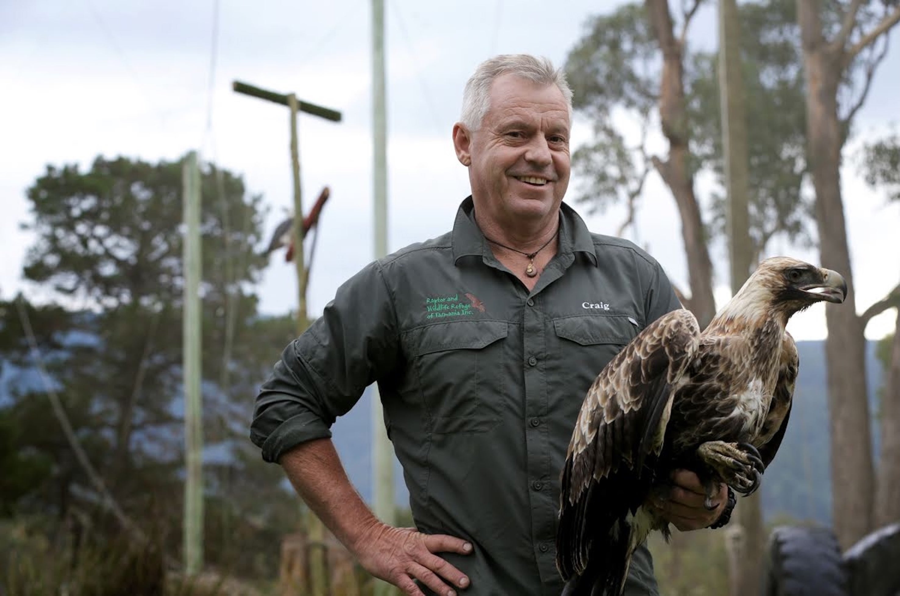A wildlife expert at a raptor refuge in Tasmania holding a bird of prey for educational purposes.