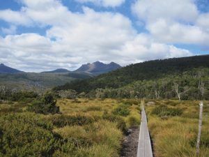 Wide-angle view of Mt Dorie and Mt Ossa peaks under a clear sky along the Overland Track.