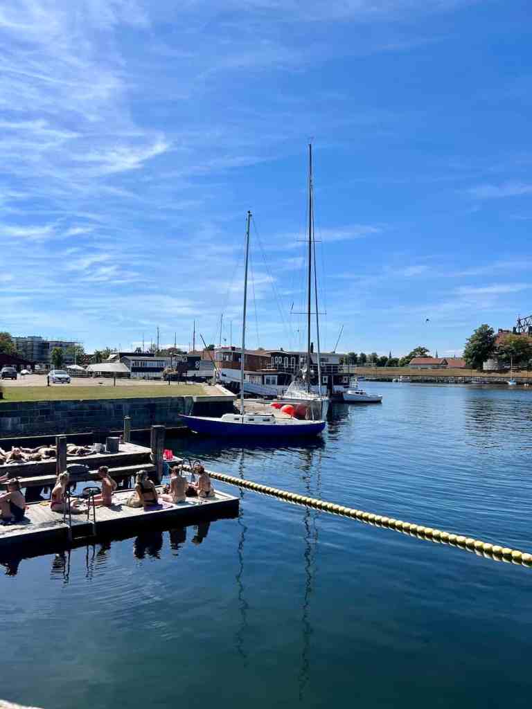 People in swimwear sunbathing and jumping into the water from a wooden harbor dock.