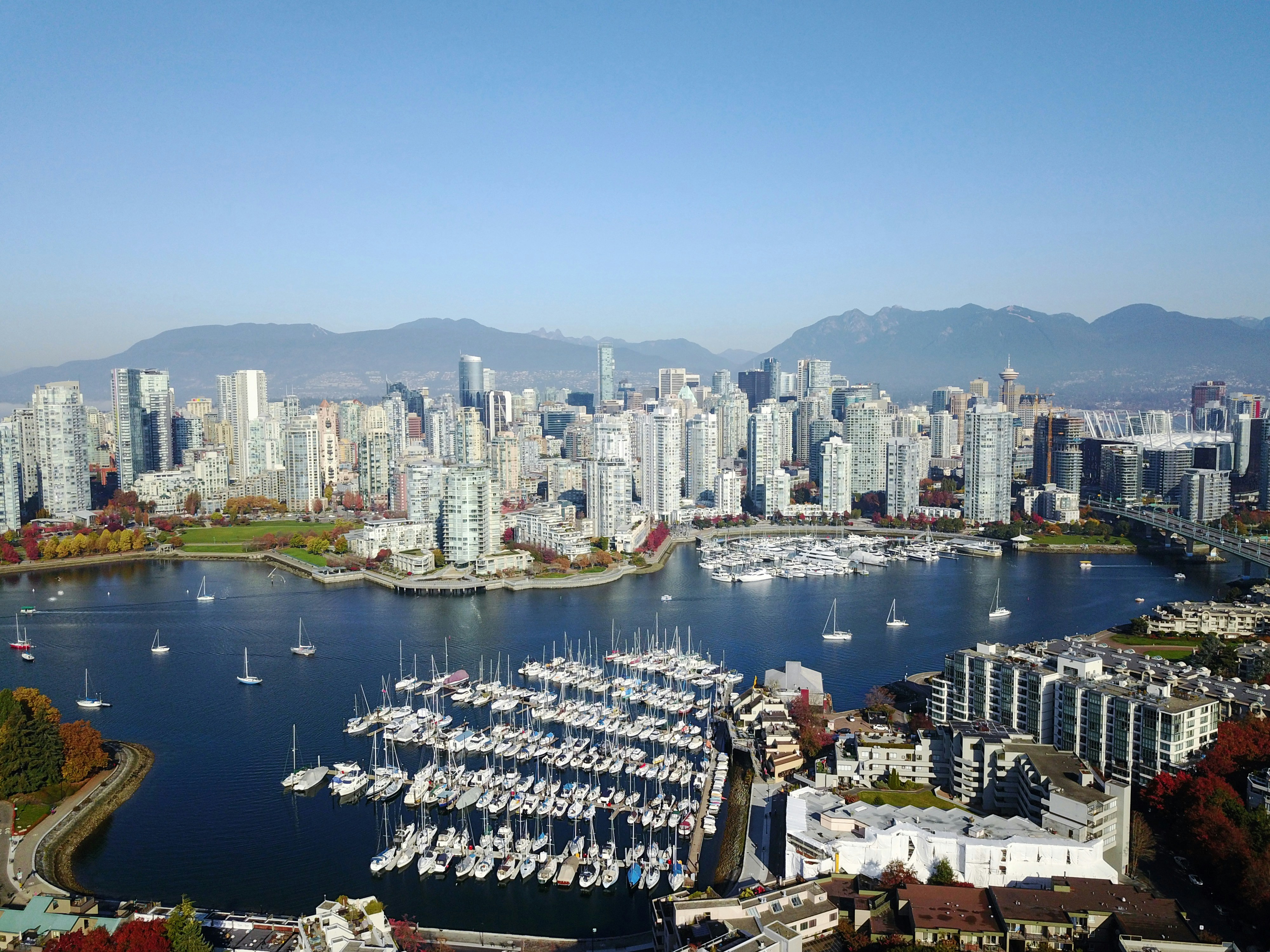 The Vancouver city skyline with the lush green trees of Stanley Park in the foreground.