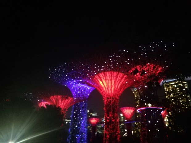 The iconic Supertree Grove at Gardens by the Bay illuminated in purple and blue lights at night.
