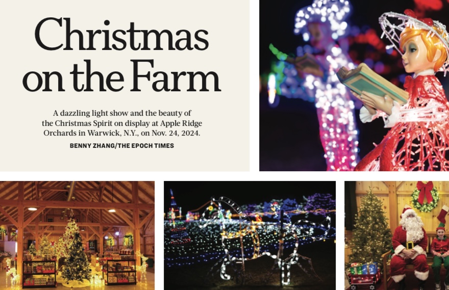 A festive outdoor Christmas light display at a farm market during the evening.