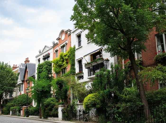 A quiet cobblestone lane in Montmartre lined with ivy-covered houses.