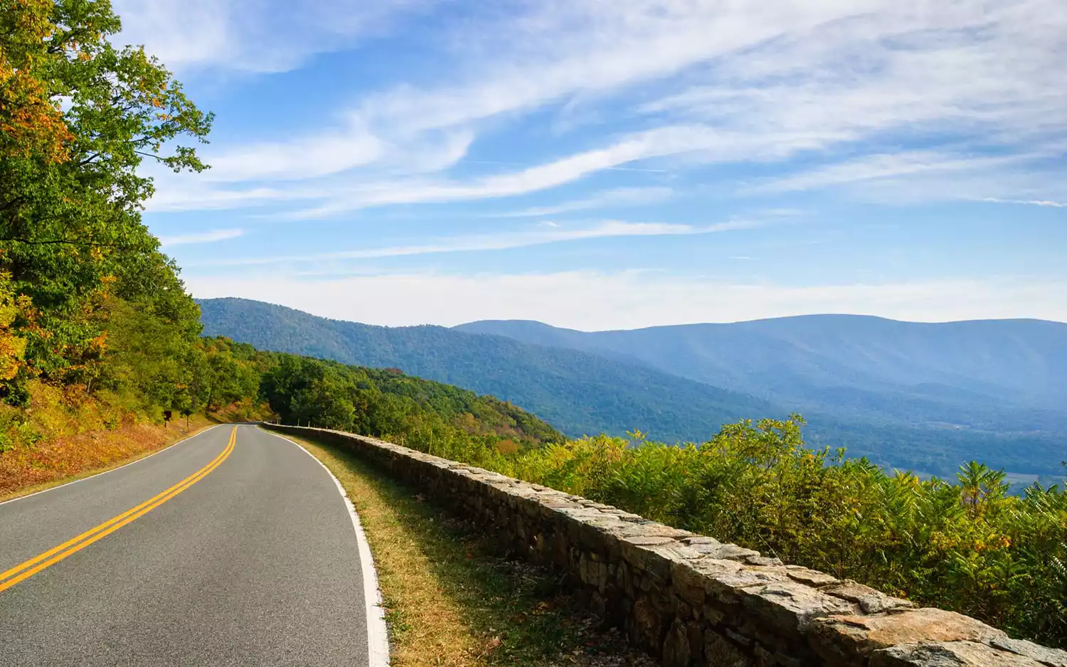 A winding asphalt road through lush green mountain forests in Shenandoah National Park.