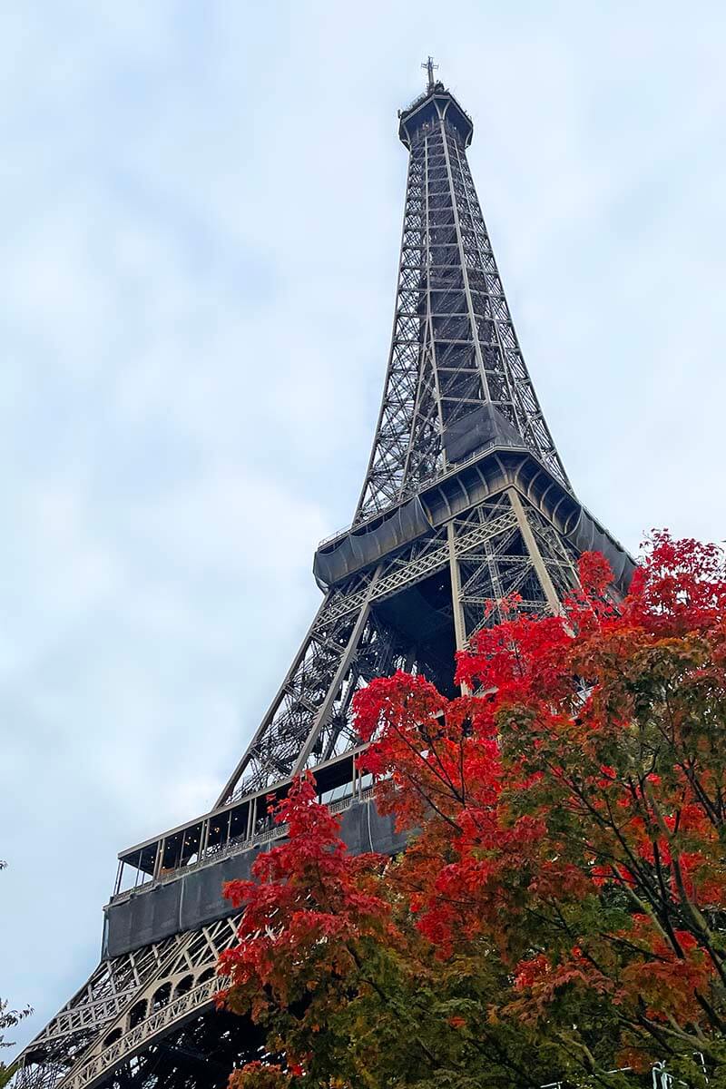 A Parisian street lined with trees showing vibrant autumn foliage.