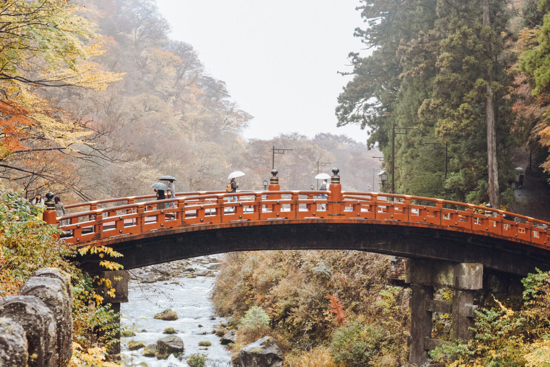 The iconic red Shinkyo Bridge surrounded by vibrant greenery and a flowing river.