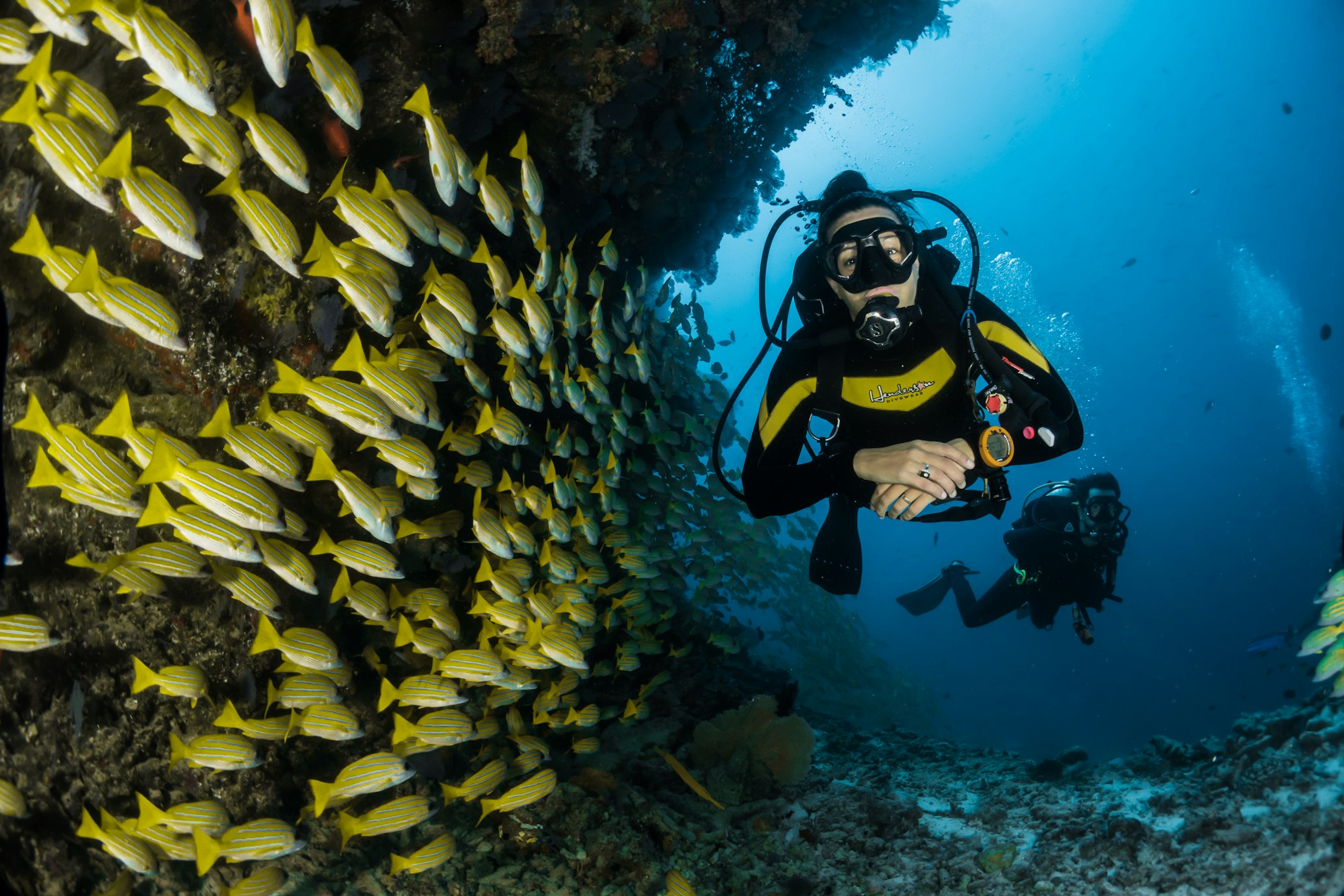 A scuba diver explores a coral reef in clear blue water.