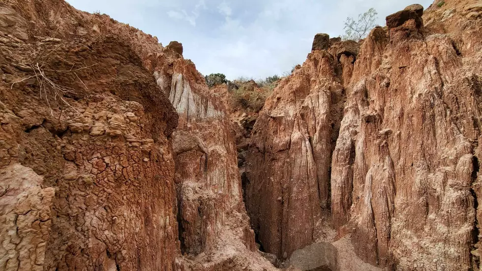 Vibrant autumn foliage contrasting against the red rock formations of Palo Duro Canyon.
