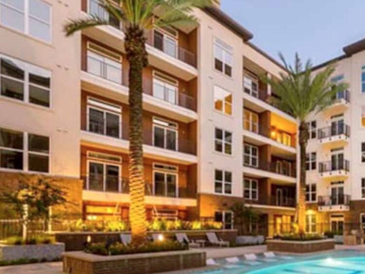 Luxury living area of a flat in Downtown Houston with high-end furniture and open space.