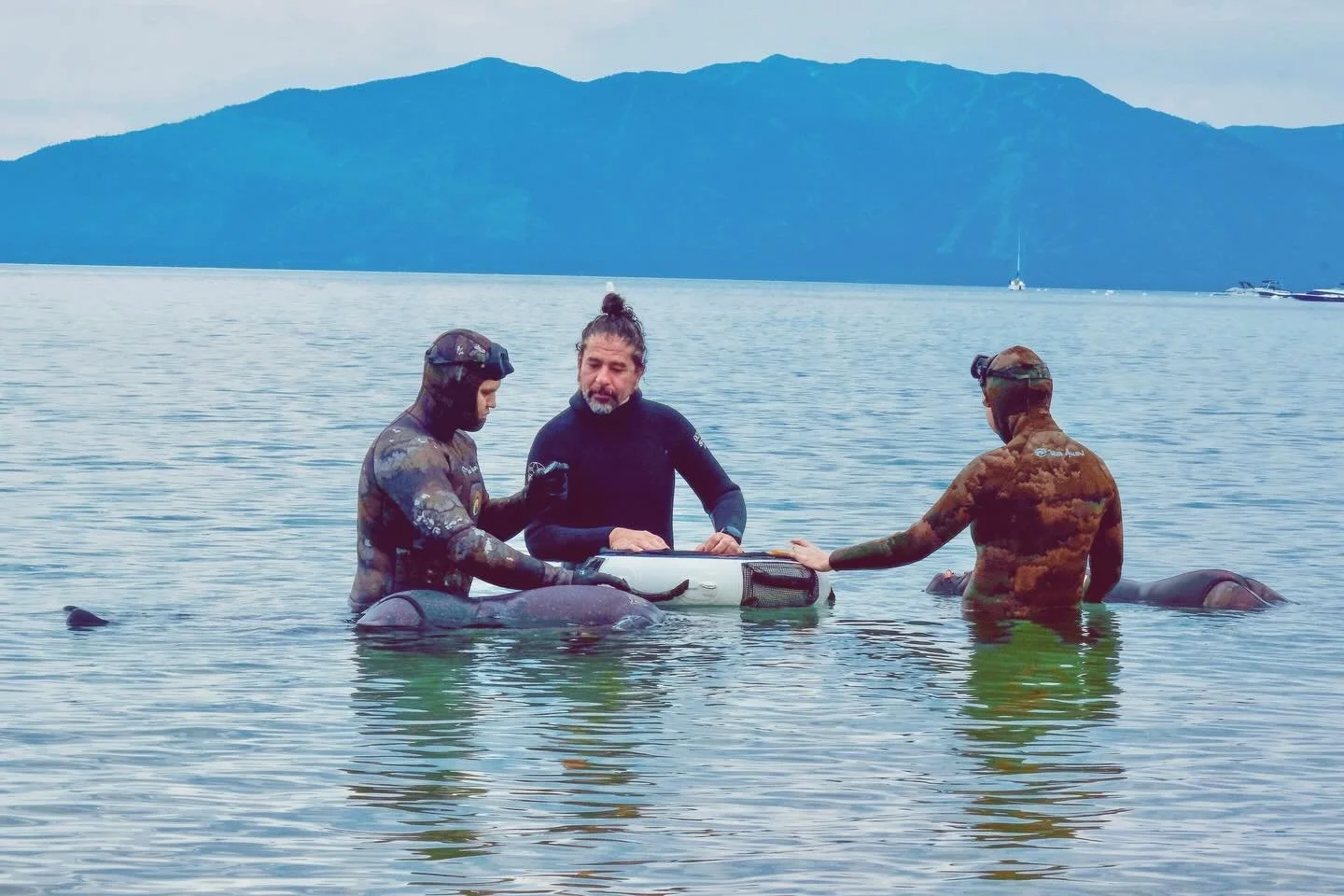 A person practicing static apnea in the clear, still waters of Lake Tahoe.