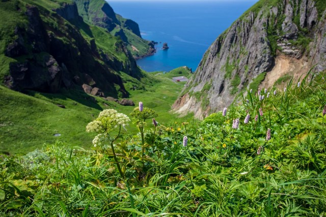 A rugged coastal cliffside path on Rebun Island overlooking the blue ocean.