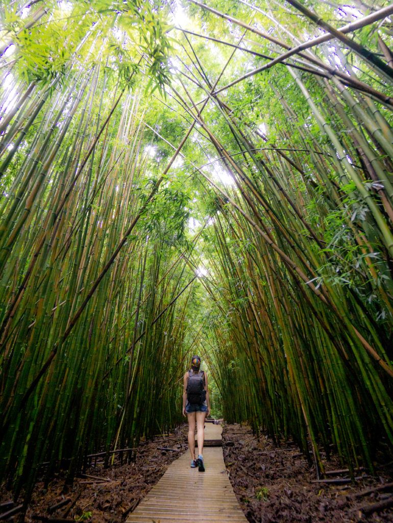 A woman standing on a scenic coastline in Maui, Hawaii, looking out at the ocean.