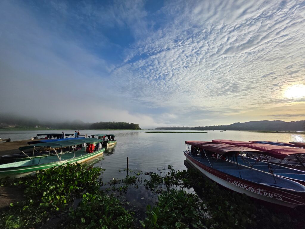 Aerial view of the Panama Canal surrounded by lush greenery.