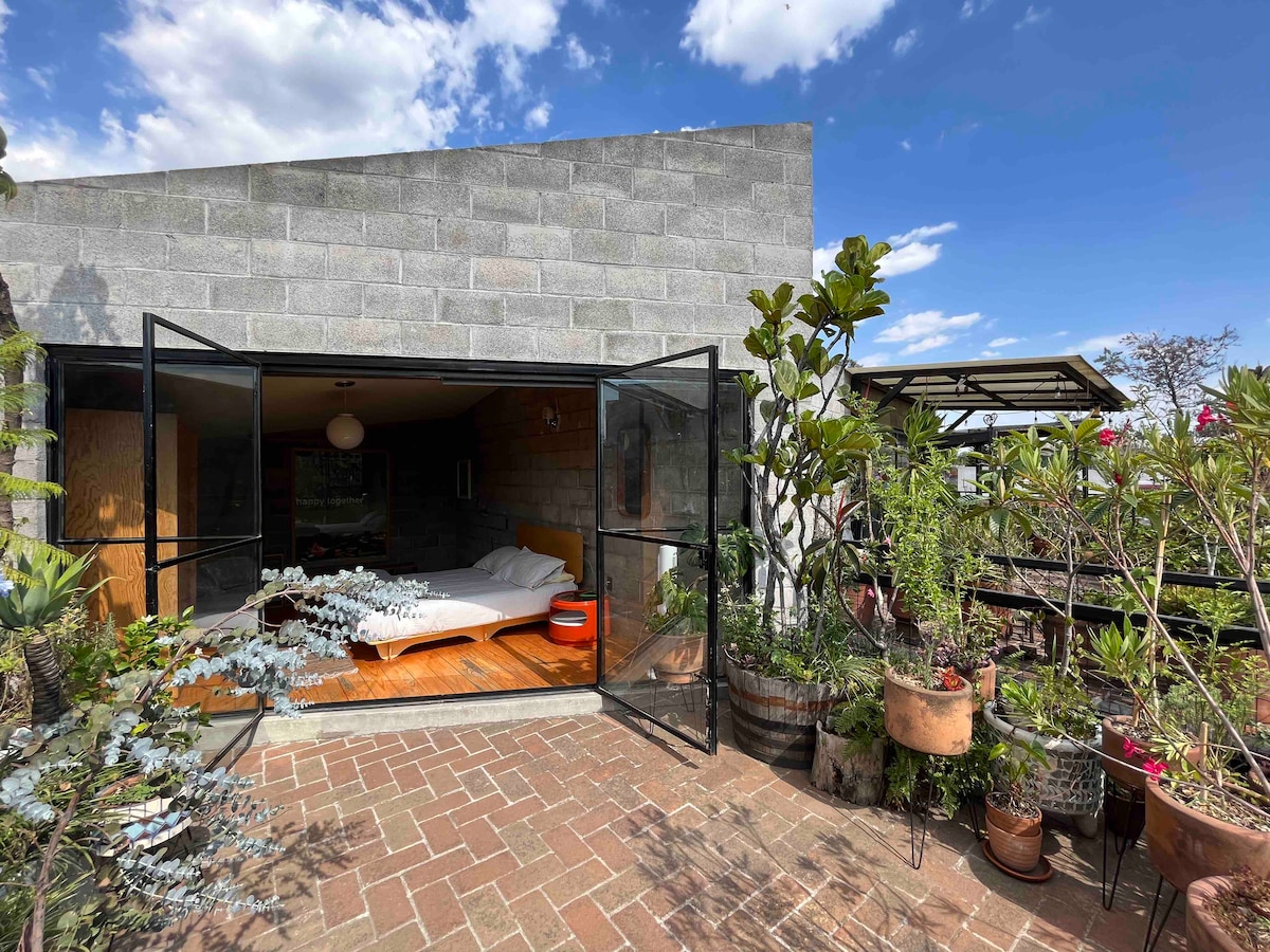 A sun-drenched loft terrace in Roma Norte filled with various potted plants and greenery.