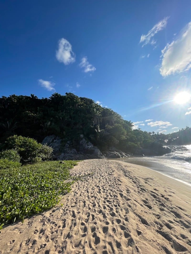 A secluded, rocky coastline with lush greenery and blue water in Nayarit.