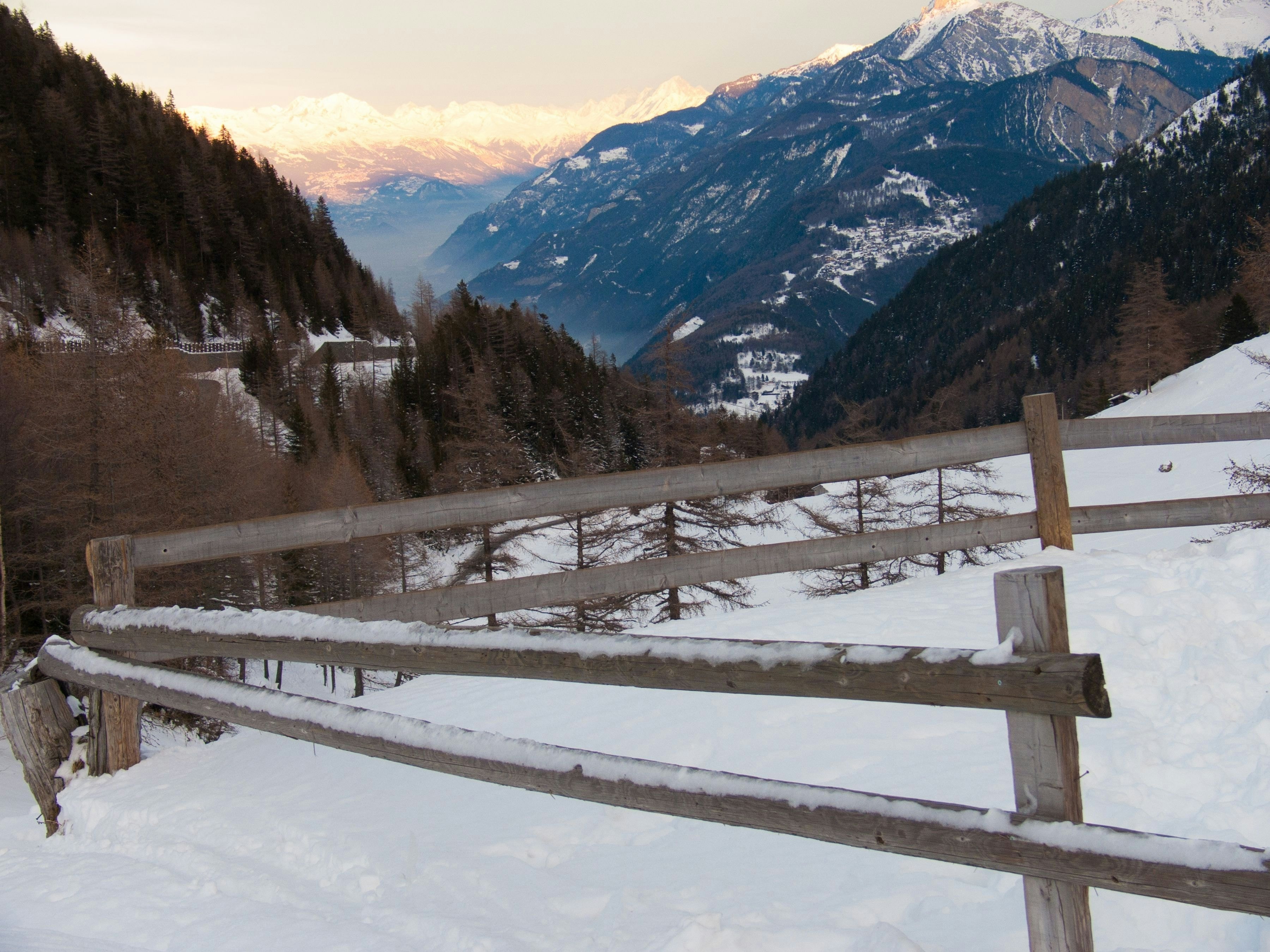 A rustic wooden fence in the foreground with a dense pine forest and snowy mountains behind.