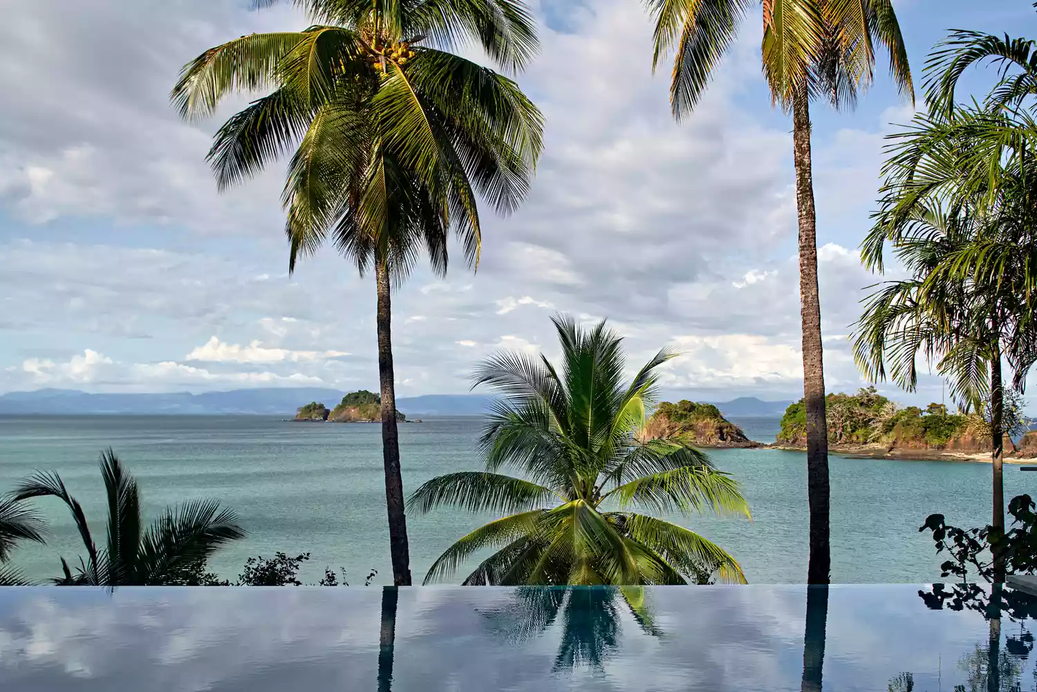 A luxury infinity pool overlooking the Gulf of Chiriquí and palm trees.