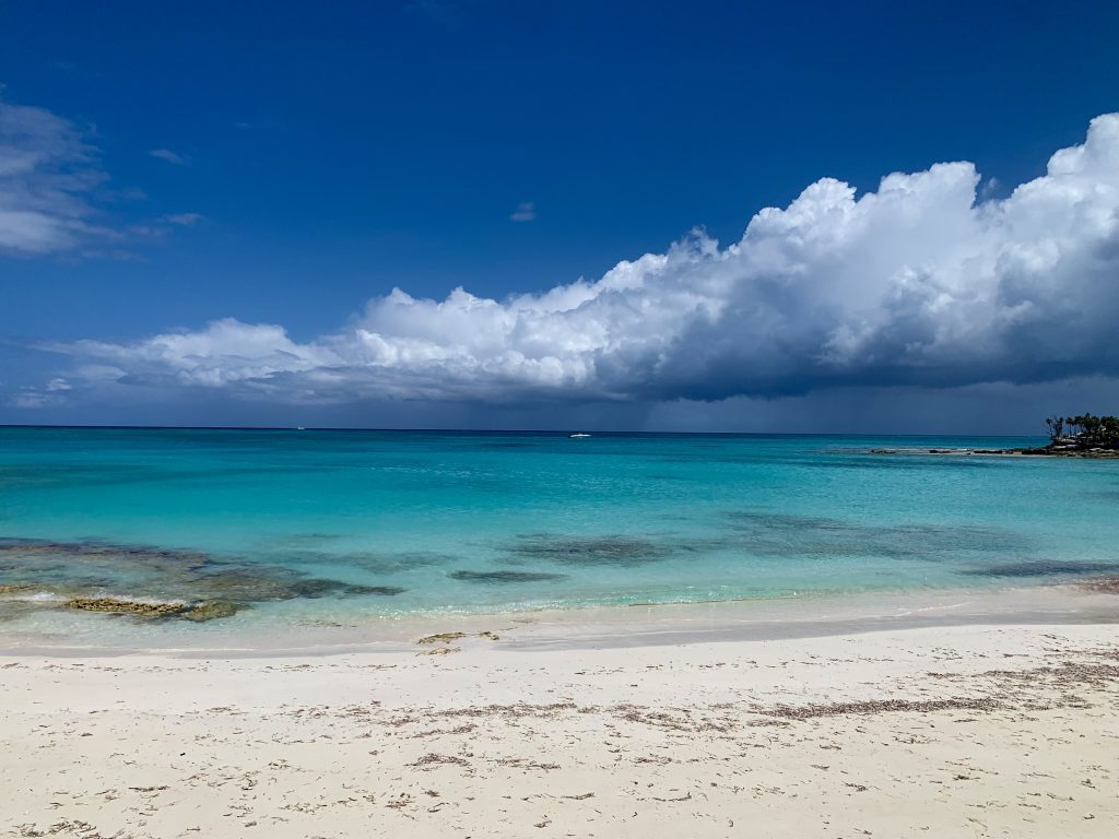 A rock iguana resting on the white sands of a Turks and Caicos beach.