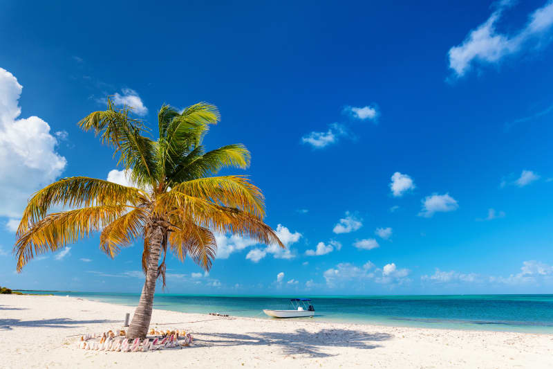 Beautiful tropical beach scenery in Antigua with white sand and blue water.