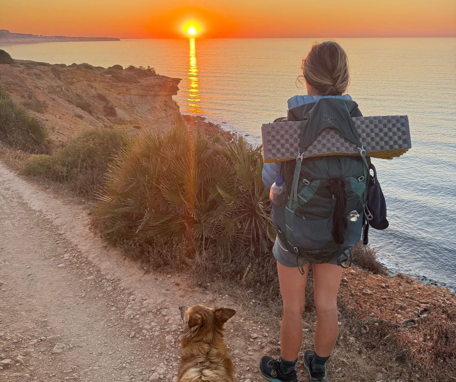 A silhouette of a hiker and their dog standing on a cliff edge overlooking the ocean during a golden sunset.