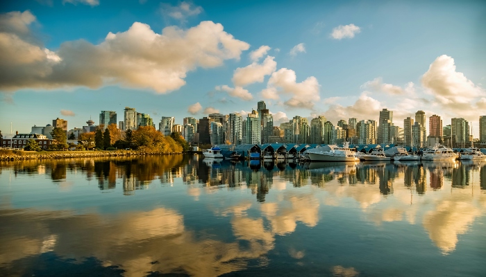 A scenic view of the Stanley Park waterfront walkway and dense rainforest trees.