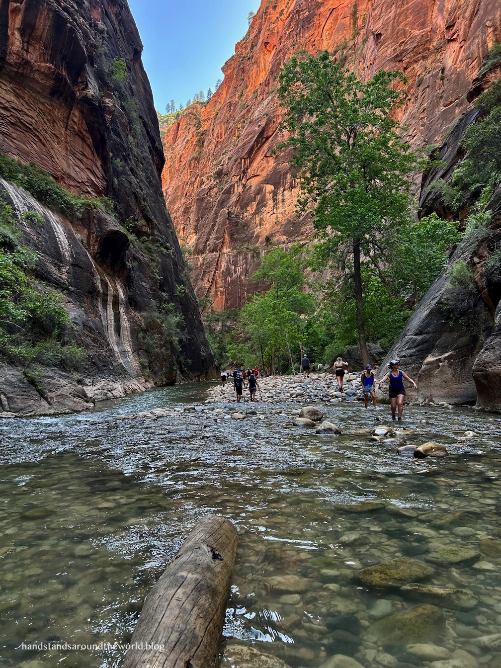Hikers using trekking poles to wade through the Virgin River inside the high walls of The Narrows.