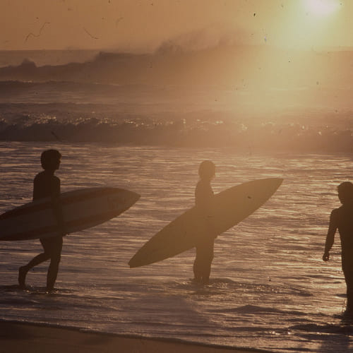 A surfer carrying a longboard walking along the sandy shore of Crescent Head.