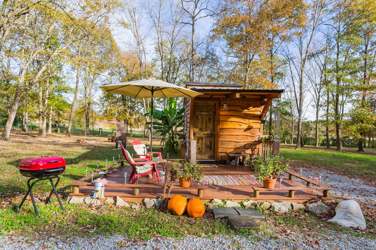 A cozy tiny house with an outdoor wooden deck decorated with seasonal pumpkins.
