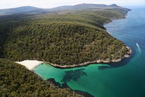 A serene coastal inlet at Denmans Cove with dense native forest in the background.