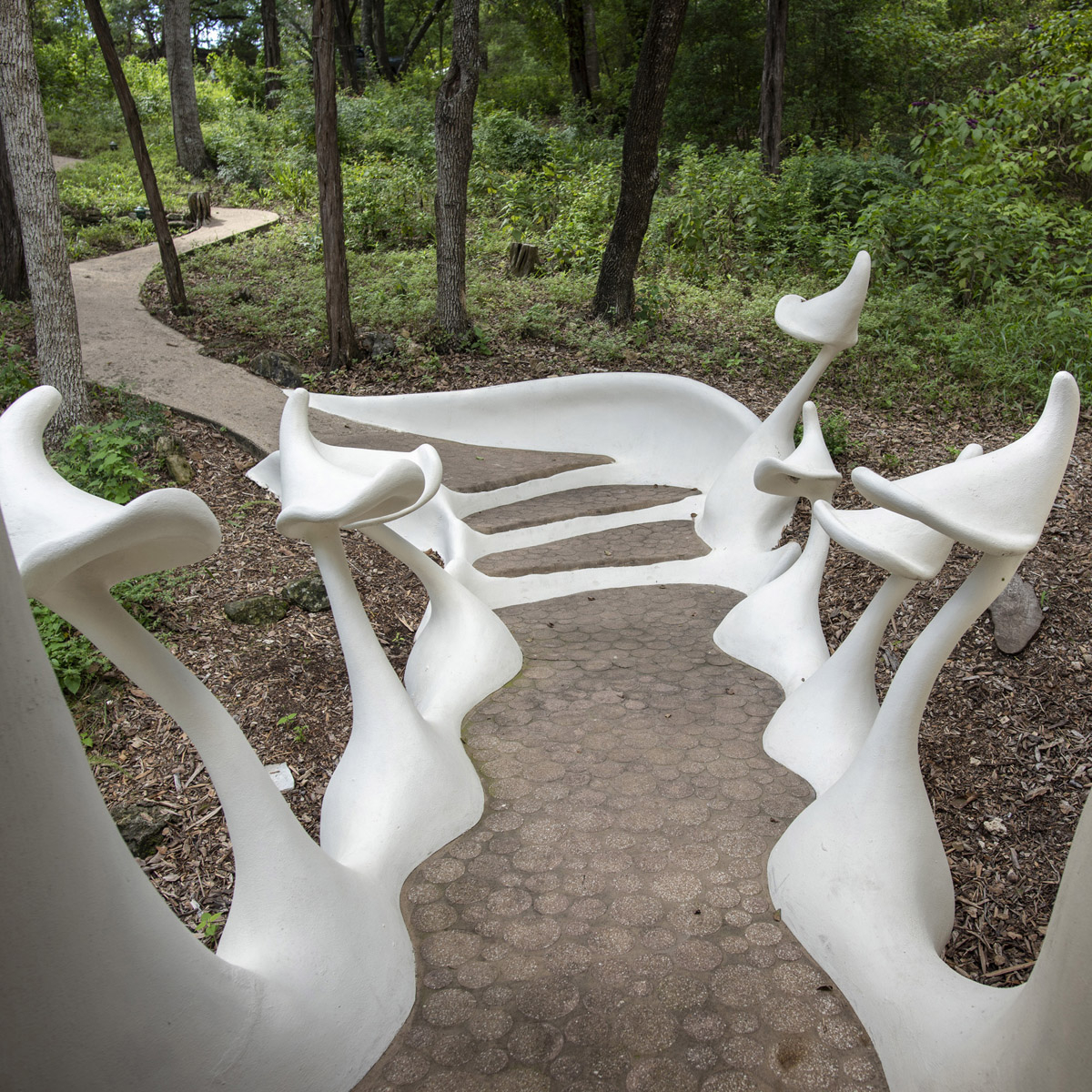 The fluid entrance area of the Bloomhouse showcasing the white, flowing architectural lines.