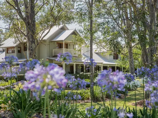 Purple lavender fields in full bloom in front of a vineyard estate house.