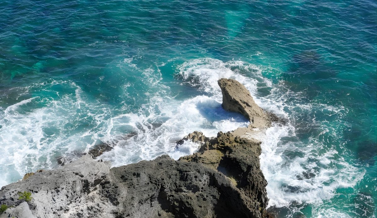 Rocky coastline meeting bright turquoise Caribbean water in Isla Mujeres.